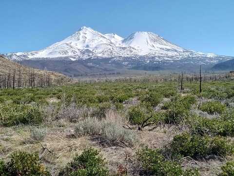 114 acres Hwy 97, Weed, CA 96094