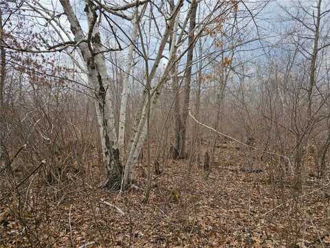 51935 Cloverton Road, Arna Twp, MN 55072
