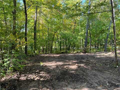 Tbd Ski Gull Lane SW, Nisswa, MN 56468