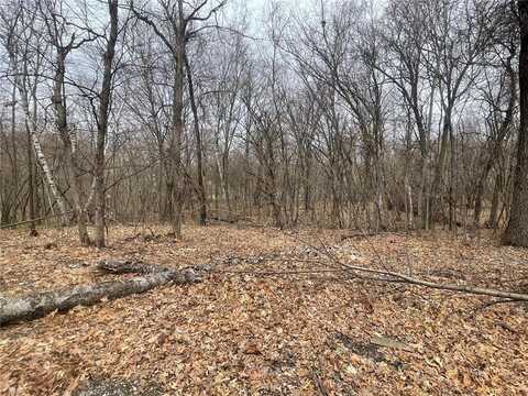 31820 Marshfield Court, Albany, MN 56307