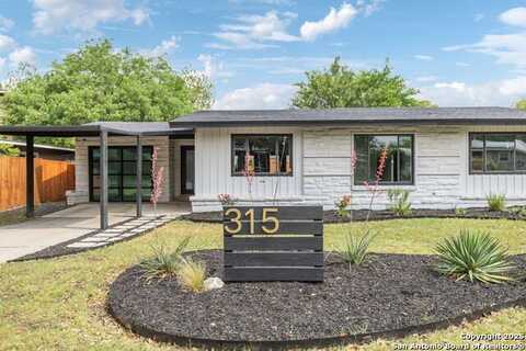 315 Ridgehaven Pl, San Antonio, TX 78209
