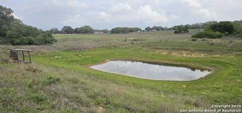 Stacey, Poteet, TX 78065