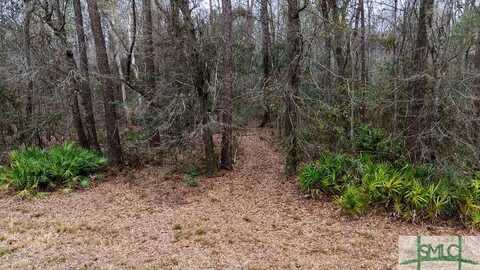 0 Lowground Road, Guyton, GA 31312
