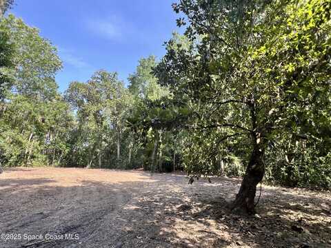 0000 Sandra Lane, Mims, FL 32754