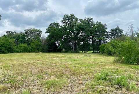 Lot 1 CR 137, Caldwell, TX 77836