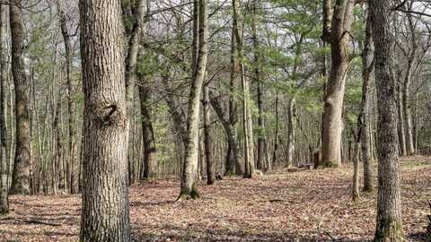 25.66 Acres 51st Street, Mauston, WI 53948