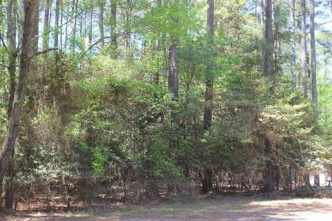 497 DRIFTWOOD DR, GREENBACKVILLE, VA 23356