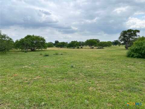 Lot 17 Settlement Way, Luling, TX 78648