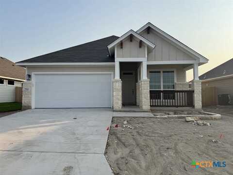 7810 Timber Hollow Lane, Temple, TX 76502
