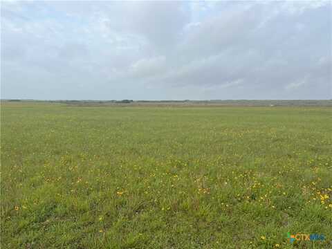 Lot 53 W Lago Loop Road, Port o Connor, TX 77982