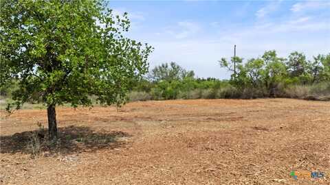 1213 Moose Trail, Kingsland, TX 78639