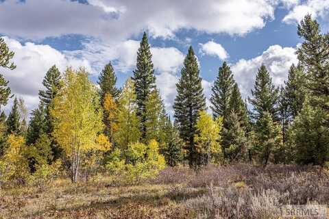 2819 NE Sage Hen Drive, Island Park, ID 83429