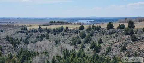 1703 Mountain Laurel Drive, Ashton, ID 83420