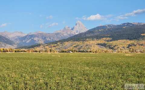 1739 Wildflower Way, Driggs, ID 83422