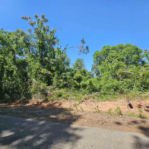 0 Ice House Road, Enoree, SC 29335
