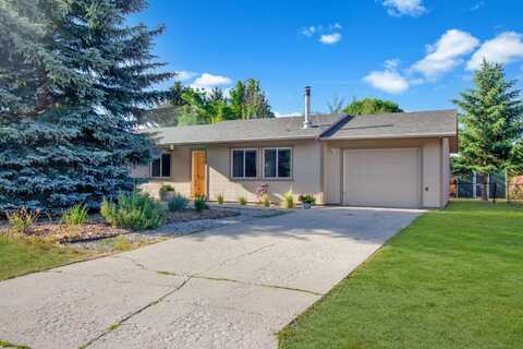 3071 Shenandoah Dr, Hailey, ID 83333