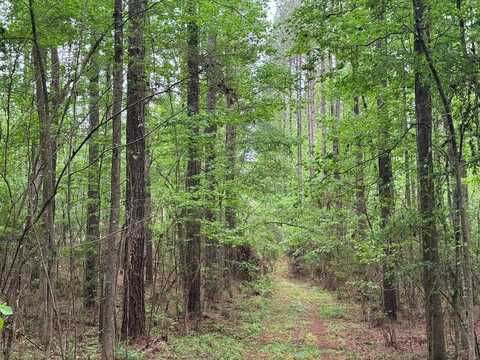 2780 Jackson Liberty Road, Bogue Chitto, MS 39629