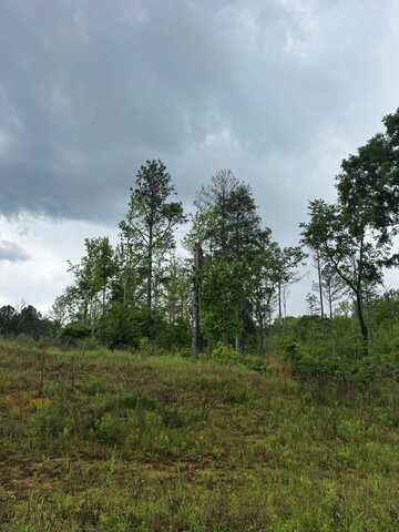 1 Old Montpeiler Road, Cedarbluff, MS 39741