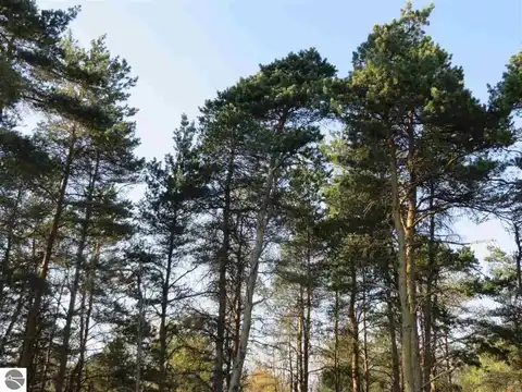 10.5 Spruce Hollow Trace, Fife Lake, MI 49633