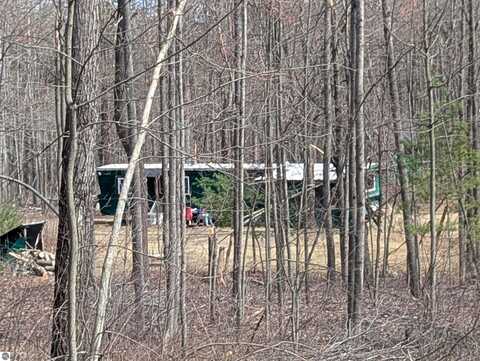 1665 W Deer Trail, Curran, MI 48728