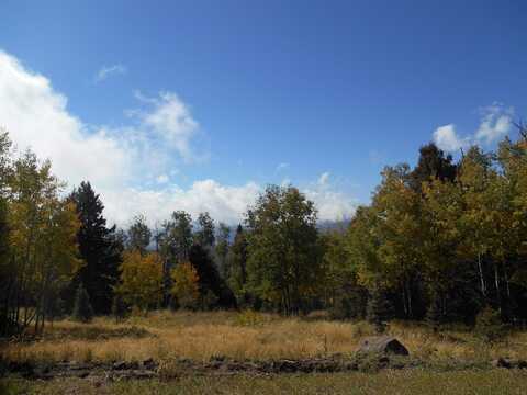 Lot 1287 El Comino Real, Angel Fire, NM 87710