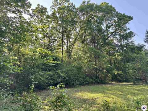 2274 CR 4120, Simms, TX 75567