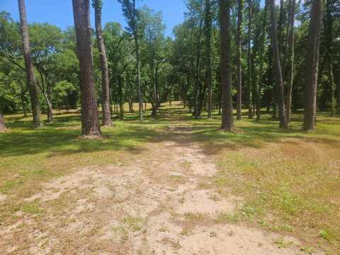 Seabiscuit Trail, Tallahassee, FL 32309
