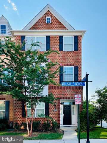 23347 WILLISVILLE WOOD SQUARE, ASHBURN, VA 20148