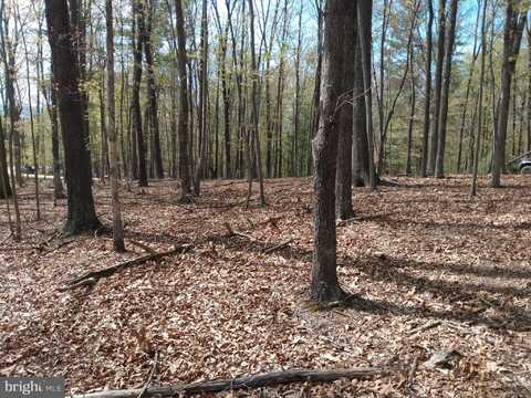 Lot 50 BIRCH GROVE LANE, BERKELEY SPRINGS, WV 25411