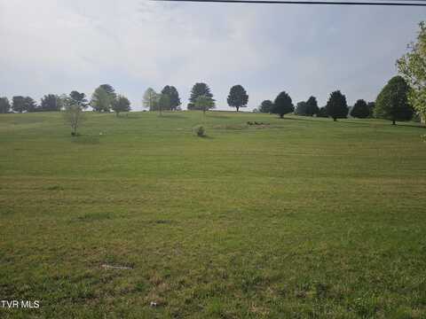 Tbd Mckinney Chapel Road, Rogersville, TN 37857
