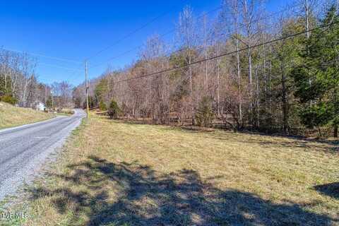 Tbd Devils Nose Road, Rogersville, TN 37857
