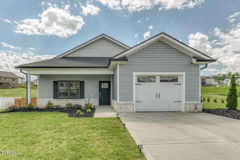 1447 Lemongrass Drive, Jonesborough, TN 37659