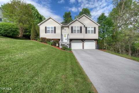 110 Vanderbilt Drive, Johnson City, TN 37601