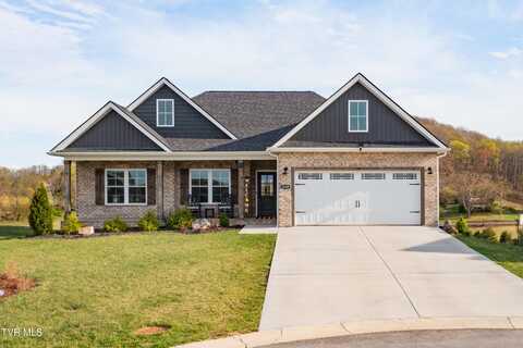 3329 Cottage Green Court, Kingsport, TN 37664