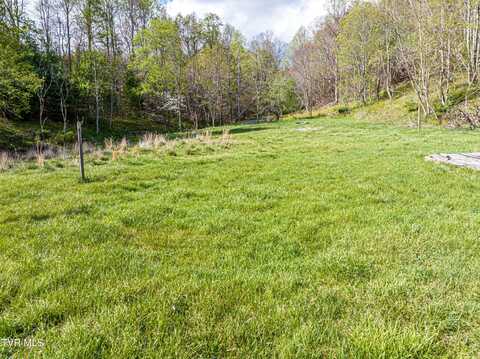 513 Beadwood Lane, Damascus, VA 24236