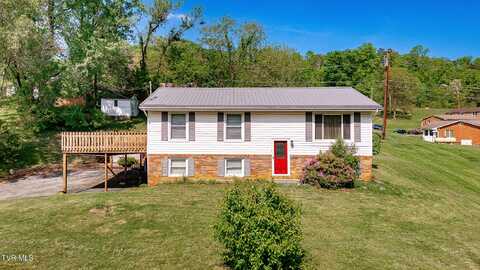 1400 Forest View Drive, Kingsport, TN 37660