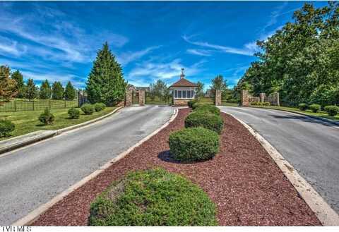 1104 Mountain Vista Pvt Drive, Bristol, TN 37620