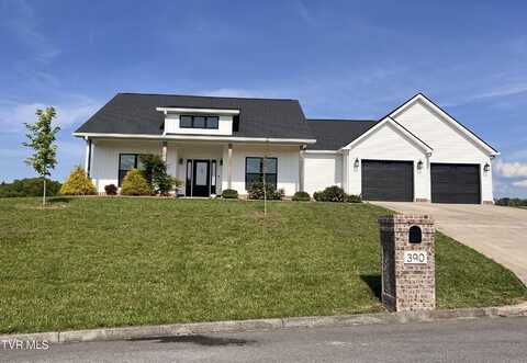 390 Katie Lane, Chuckey, TN 37641