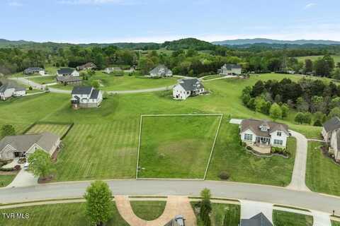 221 N Forest Lane, Blountville, TN 37617