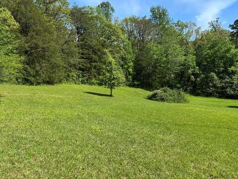 lot 24 Golden Herren Rd, SPARTA, TN 38583