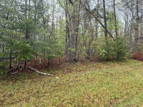 Mountain Ash Drive, MONTEREY, TN 38574