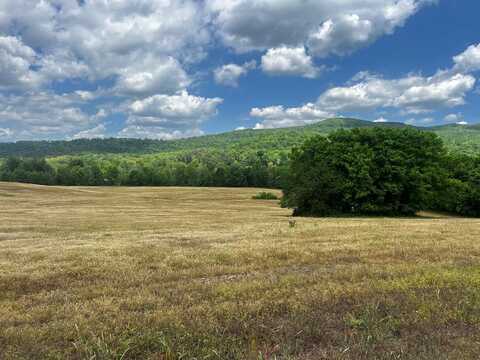 Lot 4 Hwy 285 Cane creek - Cummingsville Rd, Spencer, TN 38585