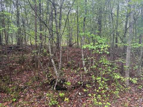 Muddy Branch Rd, CROSSVILLE, TN 38571