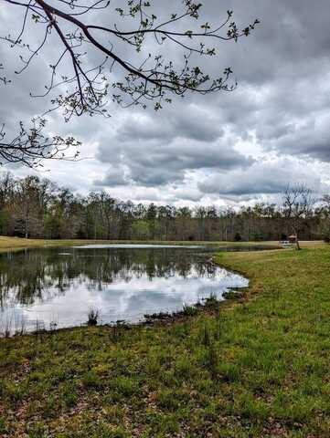 Lot 762 Surrey Lane, Spencer, TN 38585