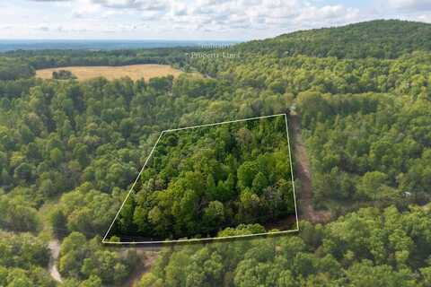 Gum Springs Rd, SPARTA, TN 38583
