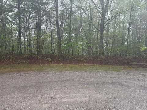 Tower Pl, MONTEREY, TN 38574