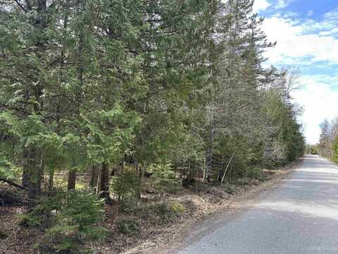 tbd SE LL.25, Garden, MI 49835