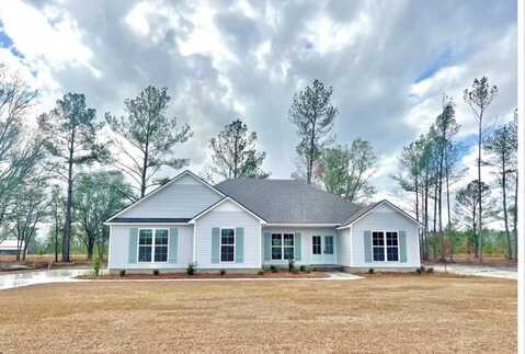 6452 Lake Alapaha Blvd, Naylor, GA 31641