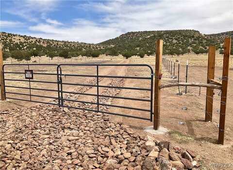 299 Markham Pass, Seligman, AZ 86337