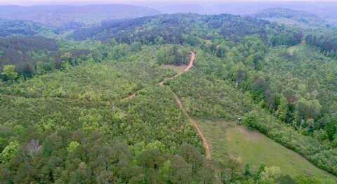 BLUE WATER Rd, Oakman, AL 35579